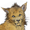 A custom companion! Created by Kicchan!